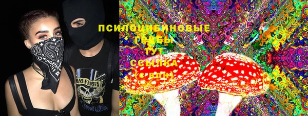 эйфоретик Алзамай