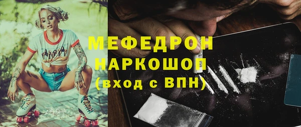 соль ск Инсар