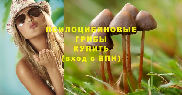 эйфоретик Алзамай